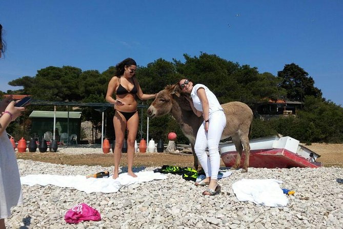 Blue Cave, Hvar and Five islands - Small-Group Tour From Split - Who this tour suits best (and who might not love it)