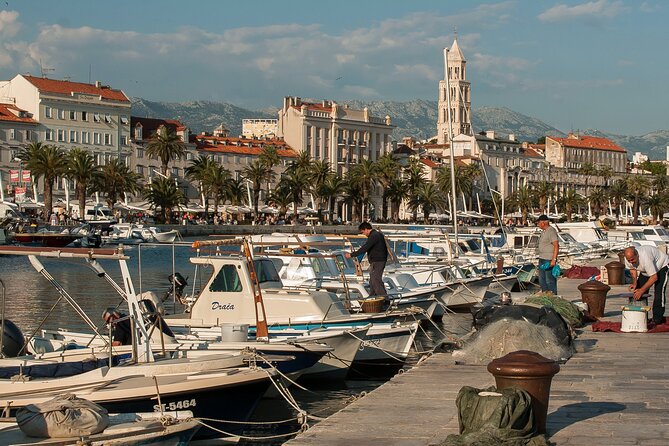 City Bike Tour of Split - Marjan Park climb: pine shade, viewpoint reward, and sea views