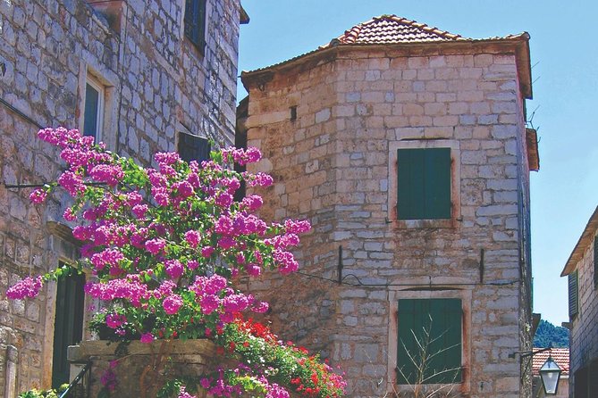 Croatia Island Hopping: Dalmatia from Split (8 days) - Day 3: Hvar town at your pace (with lavender-and-wine context)
