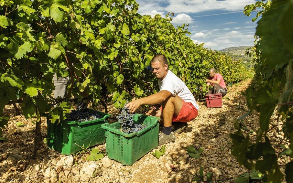Dalmatian Delights: Food & Wine Tour from Split or Trogir - Why the Ranch Rak stop works so well