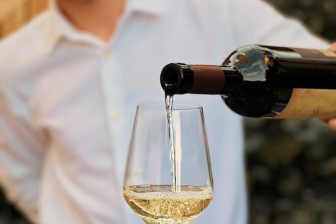 Dalmatian wine tasting by Bottiglia wine & deli - Should You Book Bottiglia’s Dalmatian Wine Tasting?