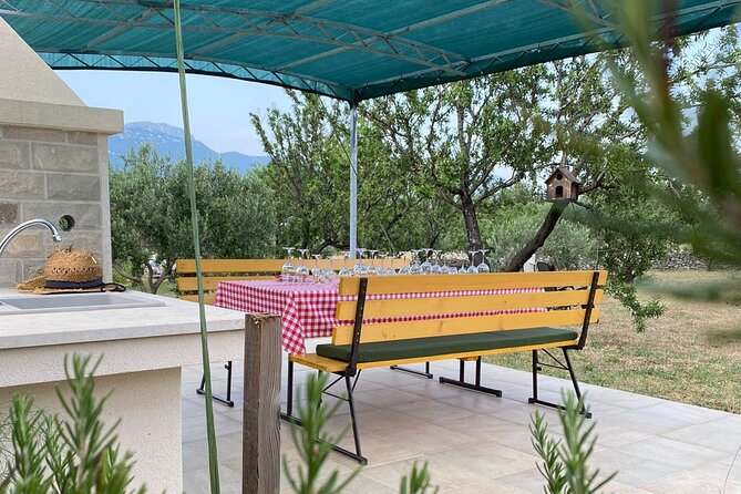 Family-run Vineyard Tour & Award Winning Wine Tasting/Delicacies - Who this tour is for (and who should skip it)