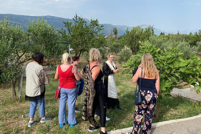 Family-run Vineyard Tour & Award Winning Wine Tasting/Delicacies - The vineyard, olive, and almond walk: why the work matters