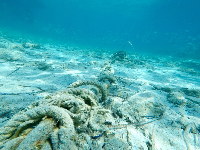 From Split: Blue Lagoon & Trogir Boat Trip with Snorkeling - Price and value for a private group up to 10 people