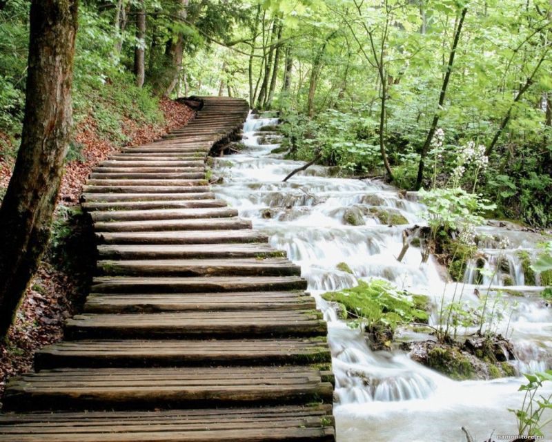 From Split or Trogir: Plitvice Lakes Guided Full-Day Tour - Who this tour suits best