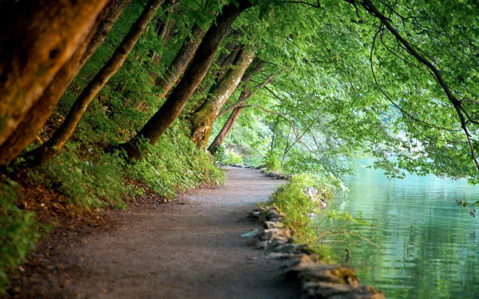 From Split or Trogir: Plitvice Lakes Guided Full-Day Tour - Key highlights to know before you go