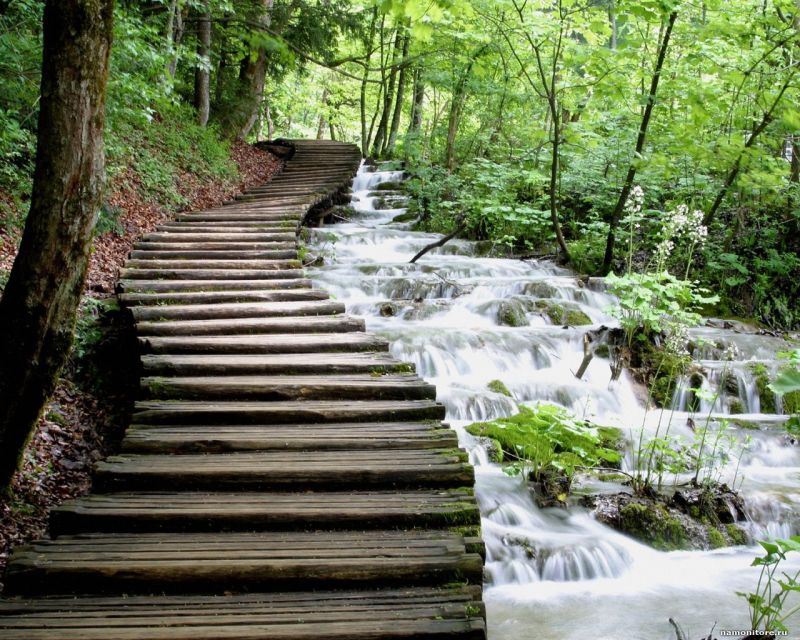 From Split or Trogir: Plitvice Lakes Private Tour - Practical Tips to Make Your Day Go Smooth