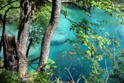 From Split: Plitvice Lakes Fully-Guided Day Tour - The coach break rhythm before Plitvice