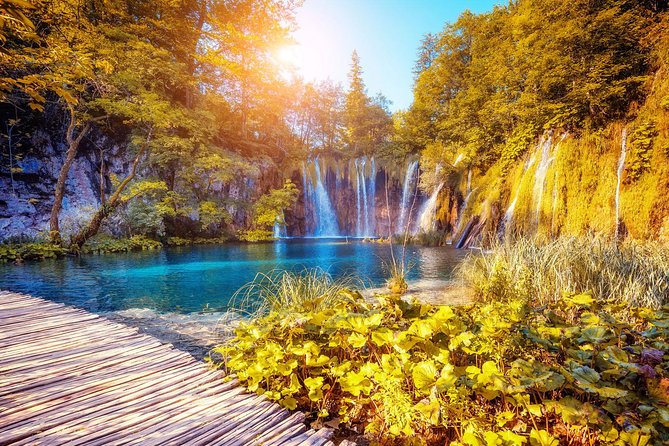 From Split: Plitvice Lakes National Park Guided Tour - Upper Lakes guided walk: forest first, then the drama