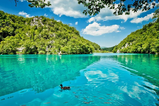 From Split: Plitvice Lakes National Park Guided Tour - Lower Lakes boat cruise: where Veliki Slap steals the show