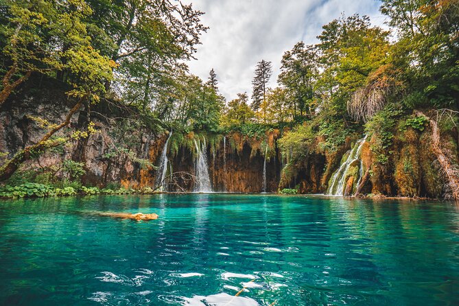 From Split: Plitvice Lakes - Private tour - Lower Lakes and Sastavci waterfalls: the canyon payoff