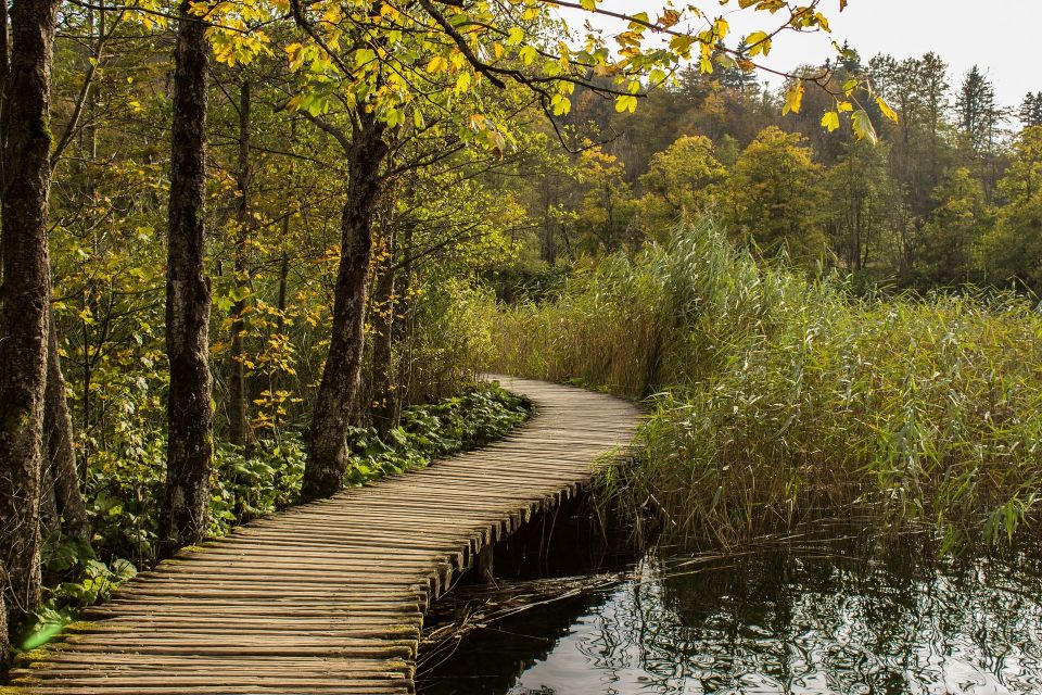 From Split: Private Tour to Plitvice Lakes National Park - Size, expectations, and the no-swim reality at Plitvice