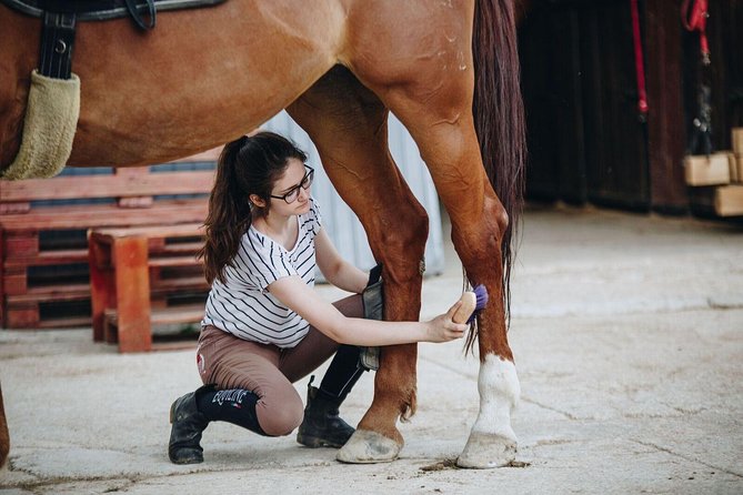 Full day Horse riding & Quad biking - Who This Tour Suits Best (and Who Might Not Love It)