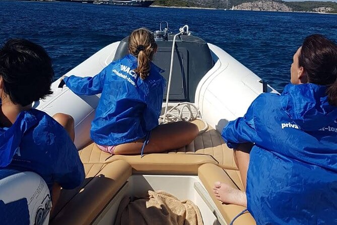 Full-Day Private Boat Tour to Golden Horn, Hvar & Pakleni Islands - Logistics from Split: meeting point and how the day feels