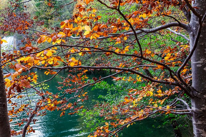 Full-Day Private Plitvice Lakes National Park Tour from Split - Getting ready: what to wear and bring