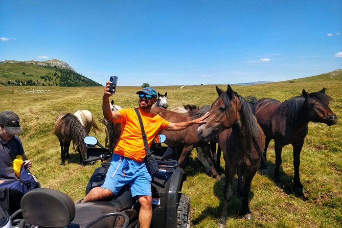 Full-Day Quad and Wild Horses Safari in Livno from Split - Key things to know before you go