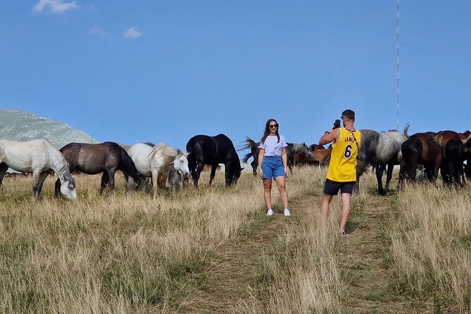 Full-Day Quad and Wild Horses Safari in Livno from Split - Wild horses safari: interaction, photos, and a calmer pace