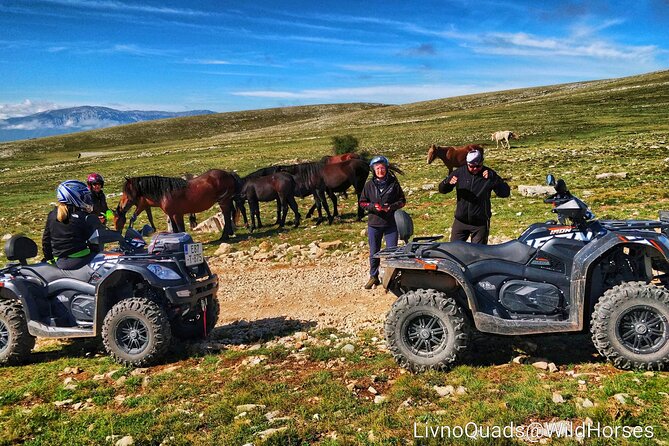 Full-Day Quad and Wild Horses Safari in Livno from Split - Price and value: what $216.74 buys you here
