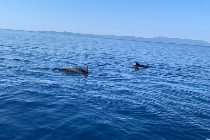 Fully customized private boat trip from Trogir and Split - Pakleni Islands: 26 islands of bays and colorful coastline