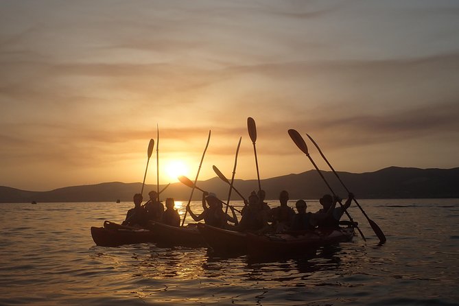 Half-Day Split Sea Kayak Adventure - The Guides: Technique Tips and Local Stories That Actually Help