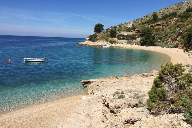 Hvar Pakleni islands and Secrets of Brac and Solta private tour - Price and what you’re really paying for