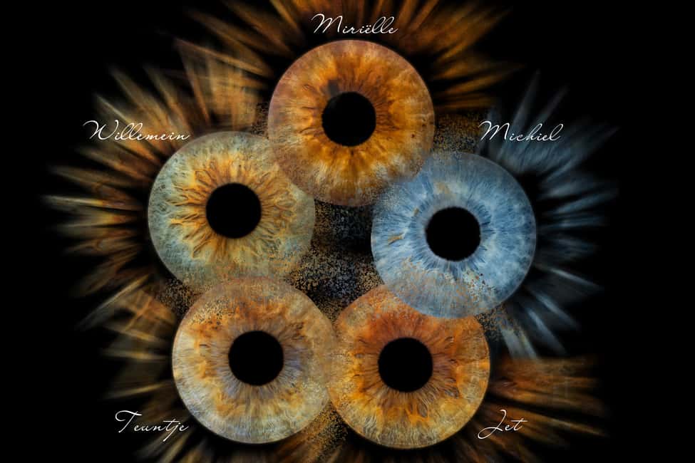 IRIS Photography (macro photo of your eye) - Key things to know before you book