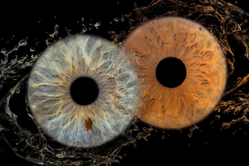 IRIS Photography (macro photo of your eye) - Split’s iris macro photo session: what it is really like