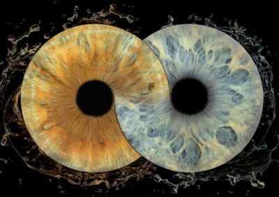IRIS Photography (macro photo of your eye) - Where to go: Split Photo Agency by the Riva waterfront
