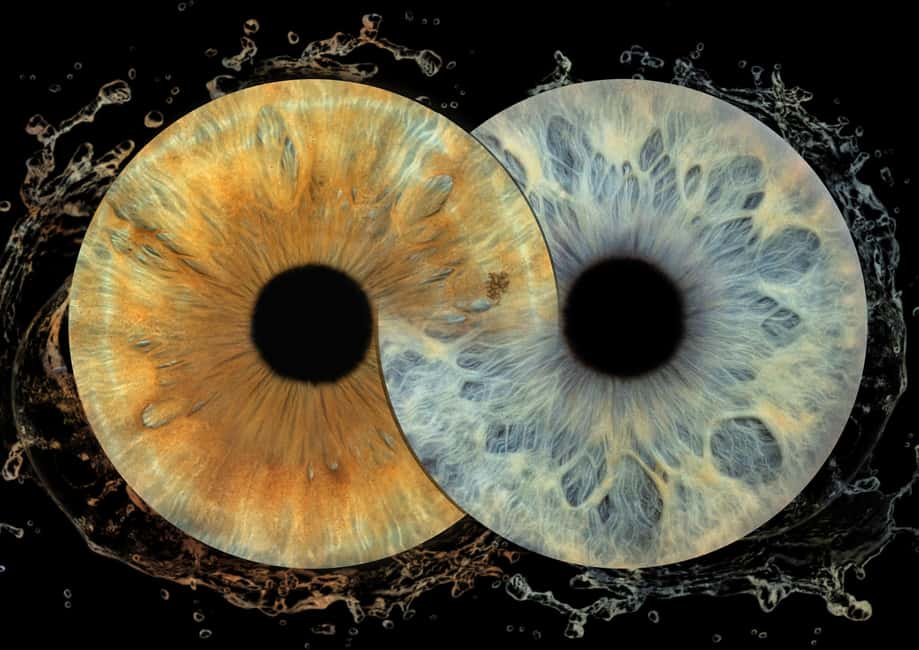 IRIS Photography (macro photo of your eye) - Where to go: Split Photo Agency by the Riva waterfront