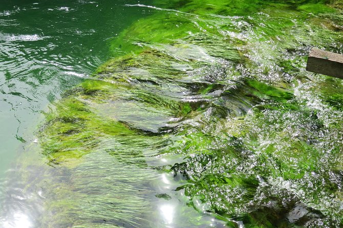 Krka waterfalls luxury tour for singles or couples - Stop 2: Skradin at Mate Vino, tastings in Dalmatia’s oldest tavern