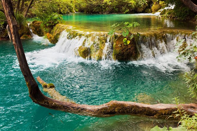 Krka Waterfalls & Primošten from Trogir, Seget, Čiovo & Kaštela - The Krka to Skradin boat ride: short, scenic, and swim-friendly