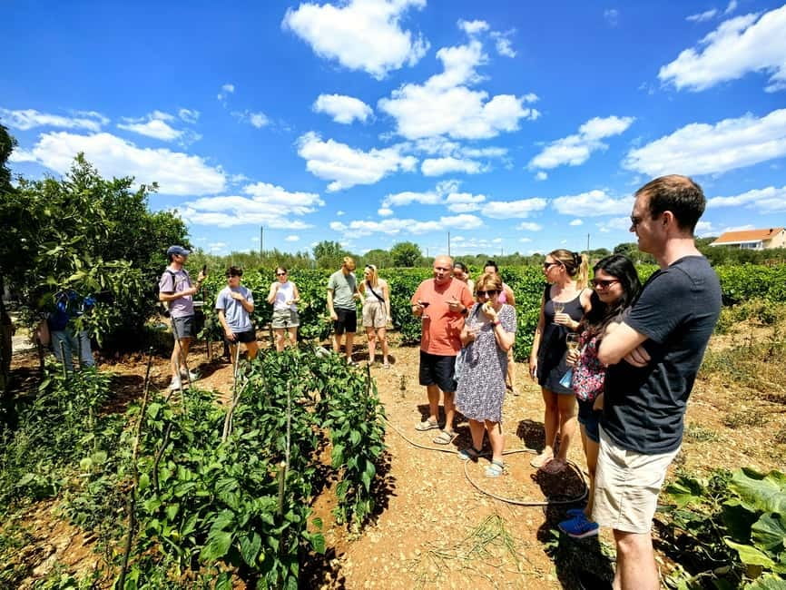 Krka waterfalls tour with lunch from Split - How the lunch and wine stop works (and why it’s not just fuel)