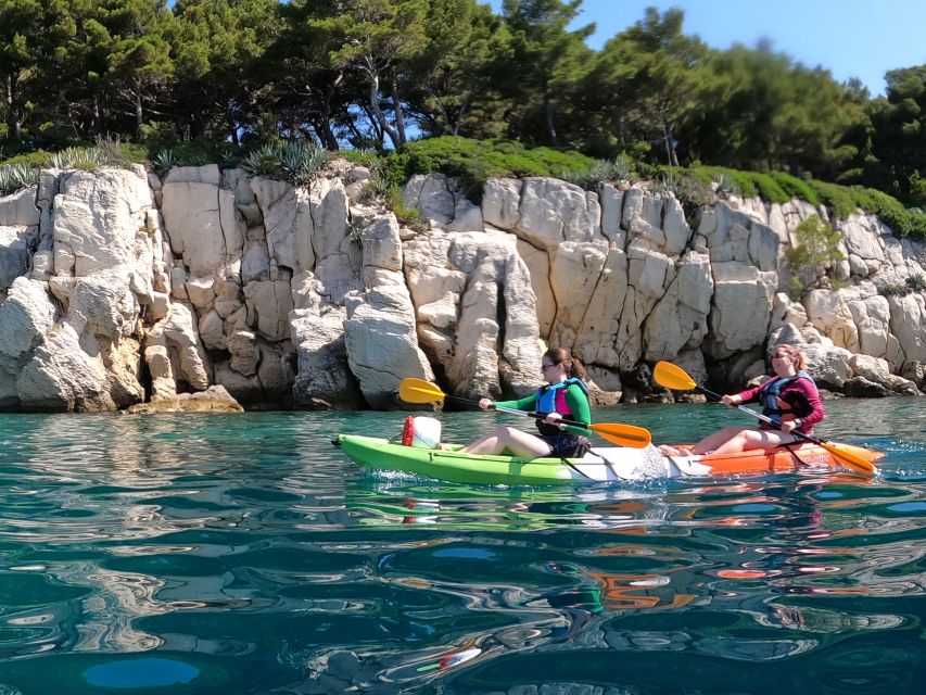 Morning Split Sea Kayaking Tour - The swim, snorkeling, and cliff-jump stop: fun with real friction removed