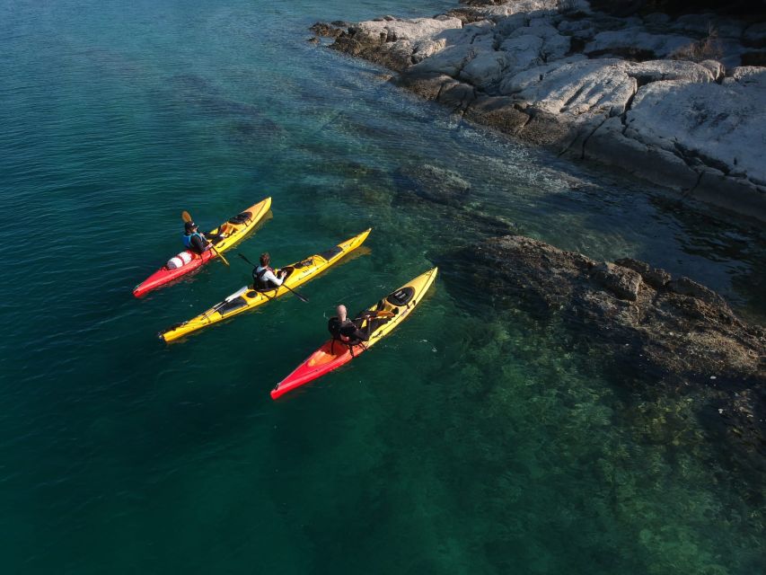Morning Split Sea Kayaking Tour - Price and value: what $58 actually buys you