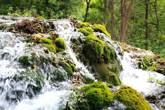 NP Krka waterfalls & Wine tasting - Private day tour from Split - Private ride from Split: why it feels easier than DIY