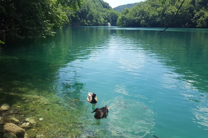 Plitvice Lakes Small Group Tour Ecco from Split or Trogir - Key highlights worth planning for