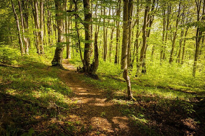 Plitvice Lakes Tour from Split with Entrance Ticket included - Entering Plitvice: 4 hours among 16 interconnected lakes