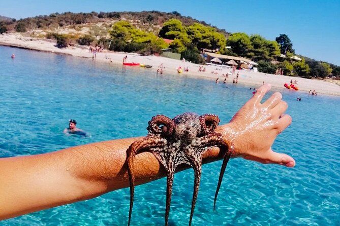 Private Blue Cave Tour from Split, Brač, Trogir and Hvar - A private Blue Cave day that actually feels like your day