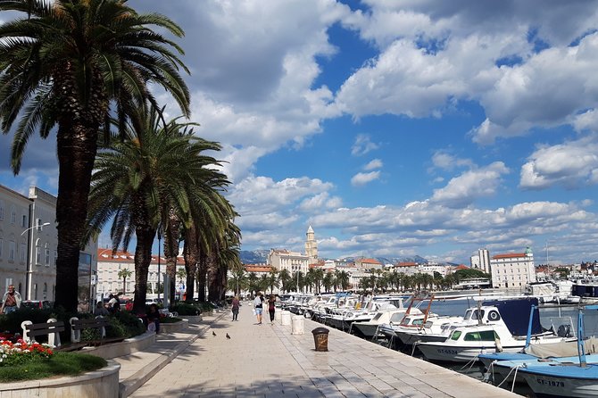 Private Full-day Dubrovnik and Ston Tour from Split - Dubrovnik City Walls: fortresses, towers, and a 1.94-km walk