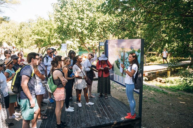 Private Full-Day Krka Waterfalls Tour with Wine Tasting - First Stop: Dalmatia Coast Drive and Quick Sights