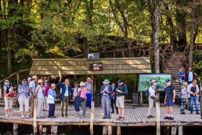 Private Plitvice Lakes - a Day In Magicland From Split - The Plitvice Lakes park day: what your 5 hours are really for
