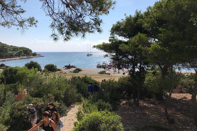 Private speedboat tour to Blue cave, Vis and Hvar - Budikovac Island: blue lagoon swimming and snorkeling