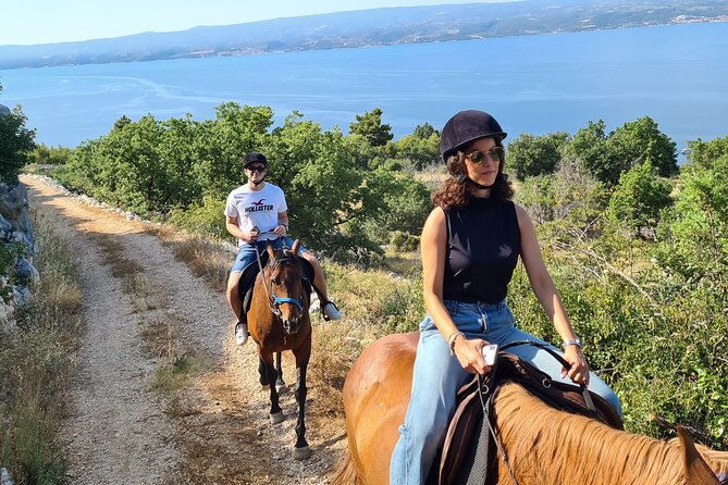 Ranch 22 Podstrana, " Horse riding 12 km from SPLIT " - Key things you’ll notice right away