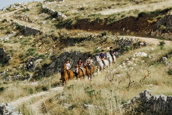 Ranch 22 Podstrana, " Horse riding 12 km from SPLIT " - Getting there: meeting point in Podstrana and transfer reality