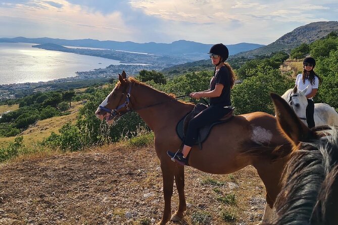 Ranch 22 Podstrana, " Horse riding 12 km from SPLIT " - Horses at Ranch 22: calm mounts and a guide who controls the ride