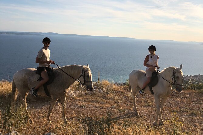 Ranch 22 Podstrana, " Horse riding 12 km from SPLIT " - Snacks, homemade wine, and what “after the ride” feels like