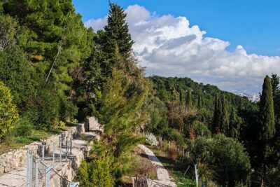 Secret Marjan Park Hiking Tour in Split - Walking history: Split, Marjan Park, and a cemetery stop