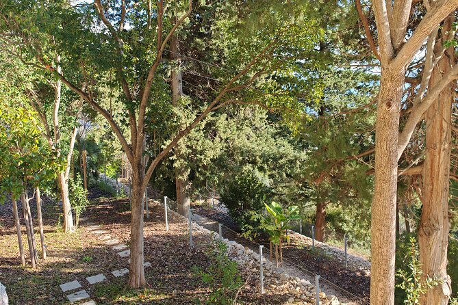 Secret Marjan Park Hiking Tour in Split - Stop 2: Matejuška Fishermen’s Port and the palace view