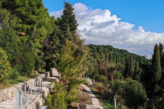Secret Marjan Park Hiking Tour in Split - Meeting point and timing: how to plan your half-day