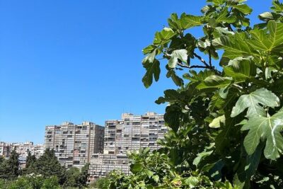 Secret Split: Socialist Architecture & brutalism - Urban Utopia - Papandopulova ulica: Where Split 3 Shows Its 1970s Face